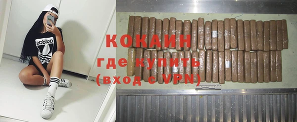 PSILOCYBIN Горнозаводск