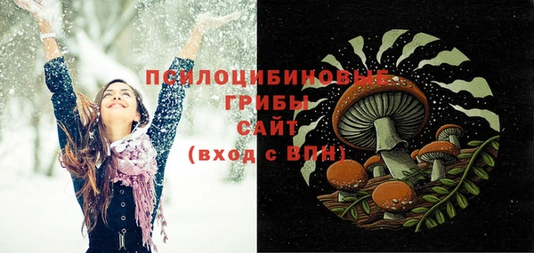 PSILOCYBIN Горнозаводск