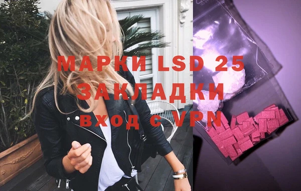 PSILOCYBIN Горнозаводск