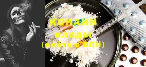 PSILOCYBIN Горнозаводск