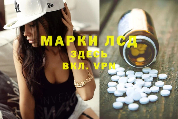 СК Горняк
