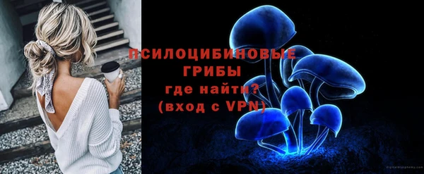 PSILOCYBIN Горнозаводск