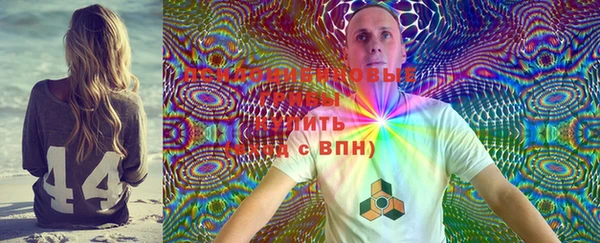 СК Горняк